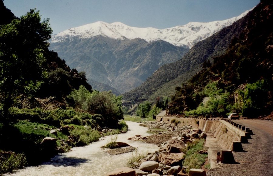 ourika ourika